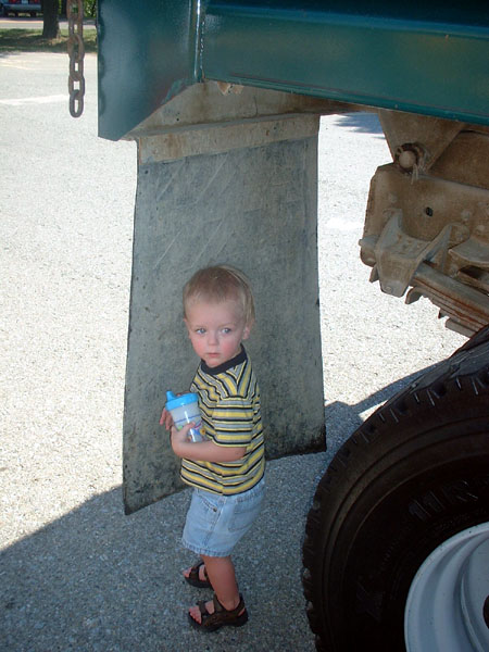 Atticus hides under a mudflap.jpg 85.4K